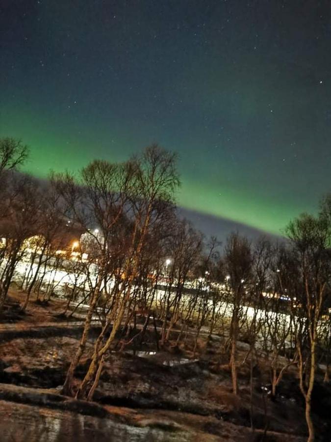 Aurora Rooms In Shared Hsuse Nr3 We Are Doing Northen Lights Trip, Reaindear Trip And Sommaroy Fjord Trips Tromsø Exterior foto